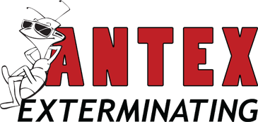 Antex Exterminating Logo